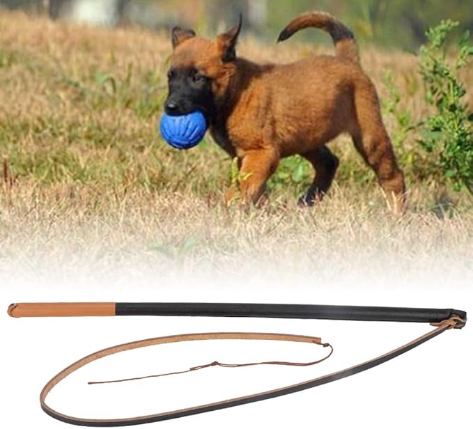 VINGVO Flirt Pole for Dogs, Dog Stick Toy Pet Training Stick Dog Training Tools Dog Training Pulling Chewing Whip Leather Protect Dog Rope Toy Pet Leashes for Small Medium Large Dog