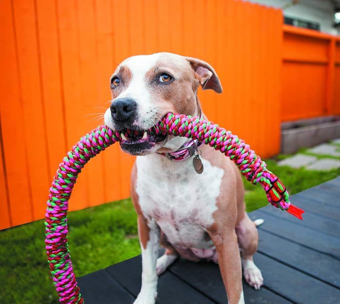 Mammoth Pet Products 26-Inch Snakebiter Rope Tug, Small, Assorted,MultiColored,53060F