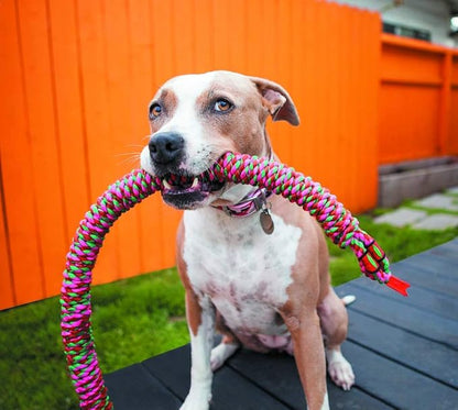 Mammoth Pet Products 26-Inch Snakebiter Rope Tug, Small, Assorted,MultiColored,53060F