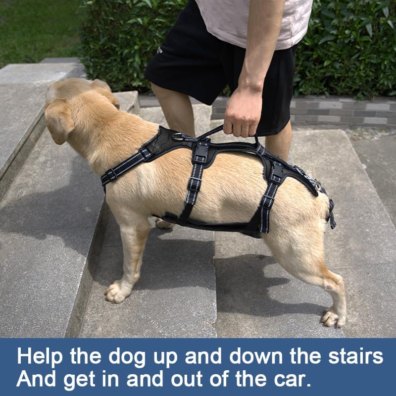 Coodeo Dog Lift Harness, Support & Recovery Sling, Pet Rehabilitation Lifts Vest Adjustable Breathable Straps for Old, Disabled, Joint Injuries, Arthritis, Paralysis Dogs Walk (Black,L) - Image 2