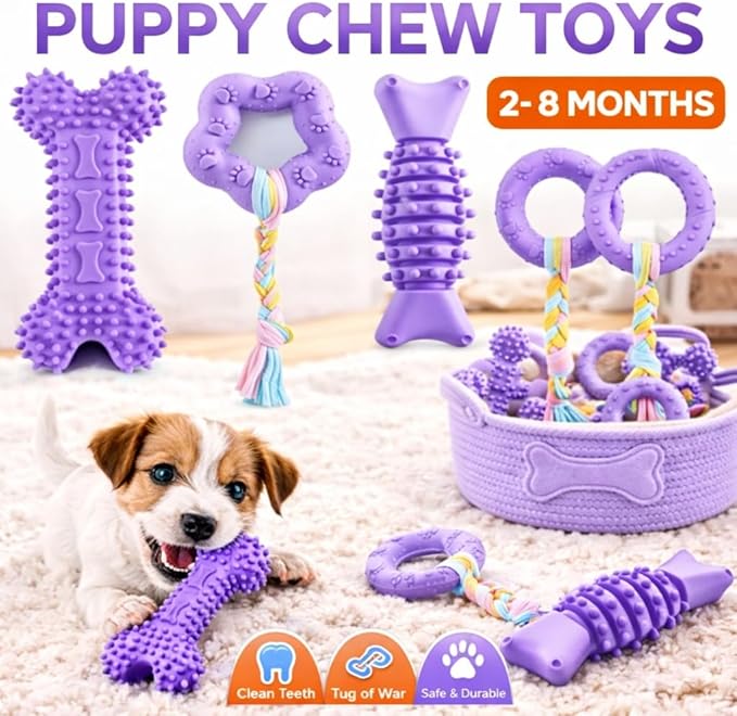 Chew Toys, 6 Pcs Soft Rubber Teething Toys for Small Dogs, Eco-Friendly Interactive Dog Toys, Teeth Cleaning, Cute Purple Design