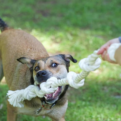 BOBA & VESPA Organic Natural White Cotton Tough Rope Toys for Dogs | USA Made | Chew Toys & Non-Toxic, Interactive Rope Toy for Small, Medium Dog to Large Dog (M (1" x 14" with 2 Knots))