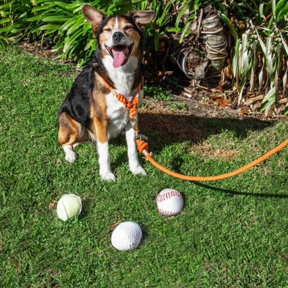 Glow Pups Dog Toys Plush Sports Balls with Squeakers, 3 Pack: Tennis, Baseball, and Golf Dog Toy, Interactive Hide and Seek Play, Durable Construction, 3" Size, Fun Ball Fetch Toy