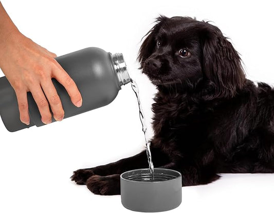 Ubbi Pup & Me Insulated Stainless Steel Dog Water Bottle with Attached Bowl, 32 oz Portable Leakproof Travel Bottle for Dogs and Owners, Charcoal Gray