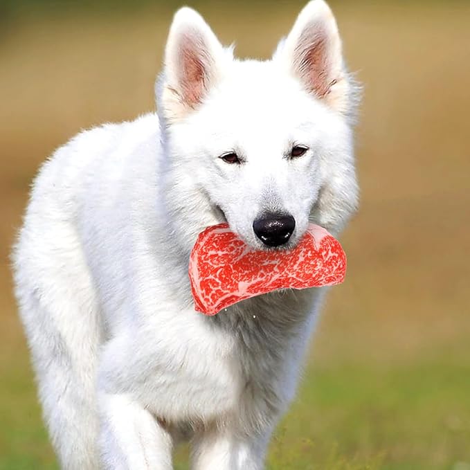 balacoo Realistic Steak Dog Chew Toy with Squeaky Sound Soft Oxford Cloth Interactive Pet Toy for Teeth Grinding and Chewing 7 Inch Durable Puppy Plaything