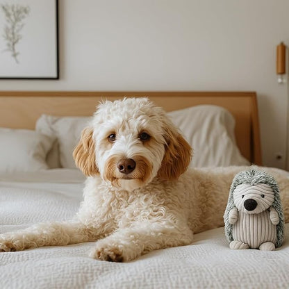 SPOT Corduroy Hedgehog Dog Toy with Squeaker, Textured Plush Toy for Small and Medium Dog Breeds, Light to Moderate Chewers, 8 Inch, Assorted Colors