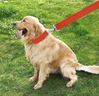 TAIAN 4FT/5FT/6FT Strong Dog Leash, Nylon Dog Leashes for Small Medium Large Dogs (Orange, 1 in x 15 ft) - Image 7
