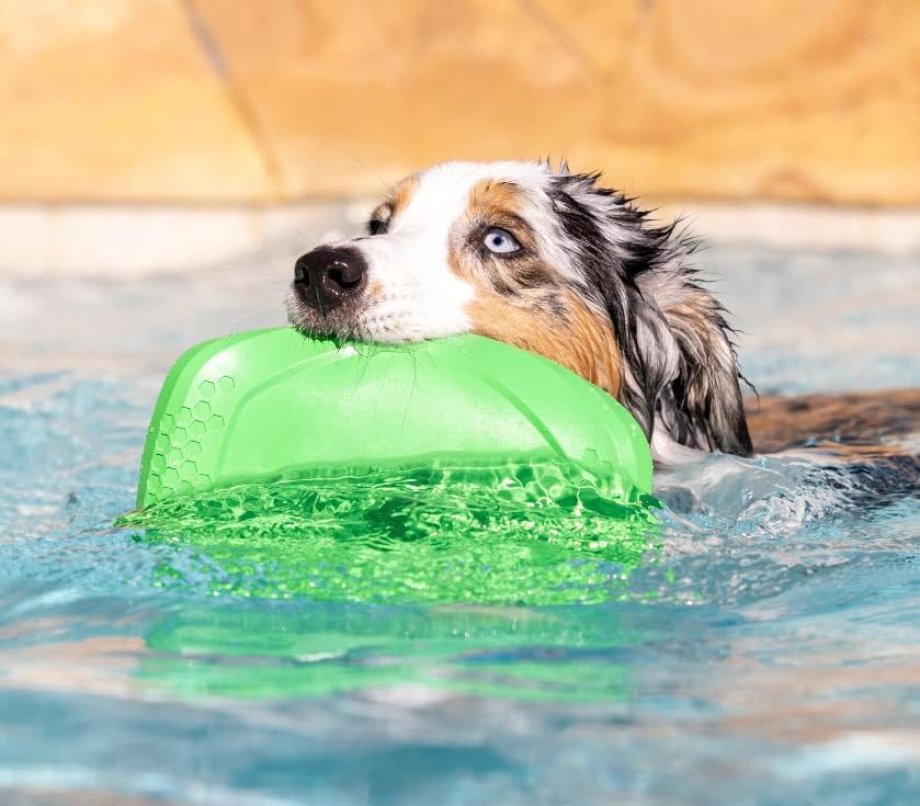 PROJECT HIVE ·PET COMPANY· Dog disc - Great for Fetch - Includes a Lick mat on Back - Floats in Water, Smooth Glide - Made in The USA (Tropical Coconut) - Image 5