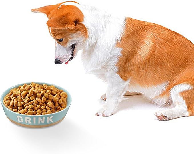 10" Non-Slip Ceramic Dog Bowl, 71 Oz Heavy-Duty Dog Food/Water Dish, Pet Feeding Bowl for Medium-Sized Dogs and Large Breeds, Food Grade Porcelain Pet Feeder Bowl, Microwave and Dishwasher Safe