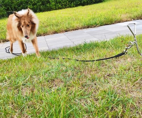 15FT Dog Tie Out Leash Long Tether 8-10-13-20-25-30-35-40-50-65FT - Image 6