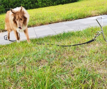 15FT Dog Tie Out Leash Long Tether 8-10-13-20-25-30-35-40-50-65FT - Image 6