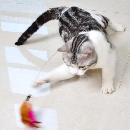 Interactive Cat Toy, Cat Teaser Wand, Silicone Collar, Feather Toys for Kitten Play, Blue