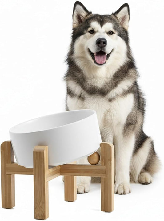 hjn Elevated Ceramic Dog Bowl 15°Slanted Raised Dog Bowl with Bamboo Stand for Small Medium Dogs and Cats, Pet Feeder -7.6-Cup (1800ml)-White