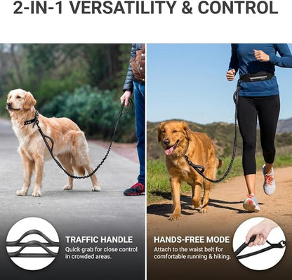 Tails & Tales Hands Free Dog Leash with Lightweight Waist Pouch for Walking Running Hiking, Adjustable Belt 25-45", Dual Padded Handles, Reflective Bungee Design for Small to Large 100lb Dogs (Black)