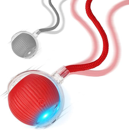 2025 New 2Pack Cat Ball Kitten Toys for Indoor Interactive Kitty Ball Toy Speedy Tail 360° Automatic Rolling for Dog, Cat(Red Grey)
