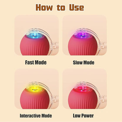 2PC Interactive Dog and Cat Ball Toy - Electric Rolling Toy with 360 Automatic Movement for Pets (Green+Green)