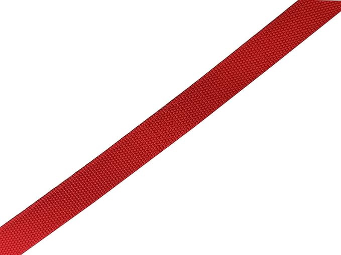 Nylon Dog Leash 8 Feet Long, Walking Training Dog Leashes for Medium Large Dogs(1" X 8 ft, Red)