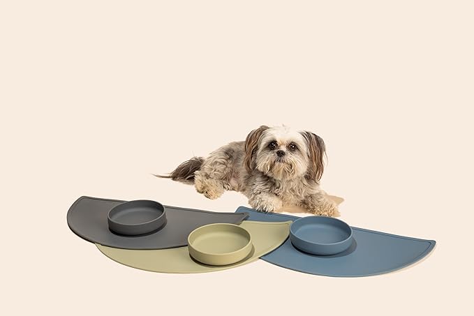 Should We Go? Dog Water Bowl - The Perfect Dish No-Spill, Less Mess Non-Tippable Water & Food Bowl, Pure Silicone with Suction Cup, Fits 2 Cups 6” Across x 1.25” Tall, Ideal for All Pets, Small-Sage