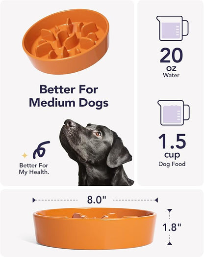 LE TAUCI Ceramic Slow Feeder Bowl, 1.5 Cups for Small Medium Breed Dogs, Puzzle Dish to Slow Down Eating for Fast Eaters