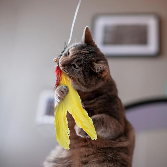 12Pcs Cat Feather Toys Refills, Feather Cat Wand Toys Attachment with Bells, Interactive Teaser Feathers Replacement for Bored Indoor Adult Cats Kitten Exercise and Play