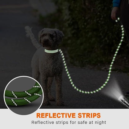 Taglory Rope Dog Leash 5 FT with Comfortable Padded Handle, Highly Reflective Threads Leash and Anti-Tangle Clip for Walking Small Dogs, 3/8 inch, Green