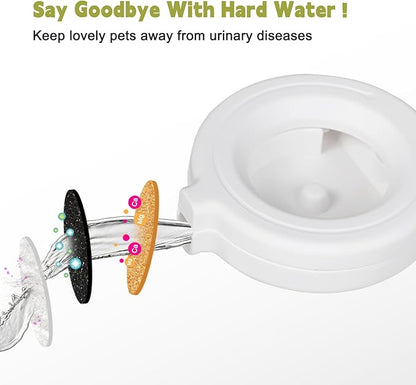 RIZZARI Automatic Dog Water Dispenser: Spill-Resistant 9L Black Gravity Feeder-Removes Odors -Softens Water - Supports Elderly Dogs’ Spine Health - Includes 2 Extra Filters & 2 Bottle Caps