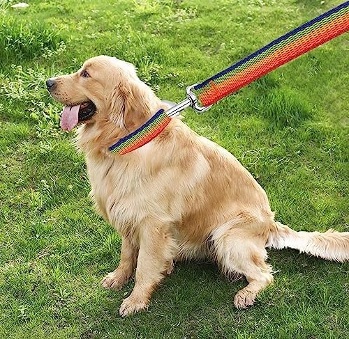 TAIAN 4FT/5FT/6FT Strong Dog Leash, Nylon Dog Leashes for Small Medium Large Dogs (1 in x 4 ft, Rainbow) - Image 7