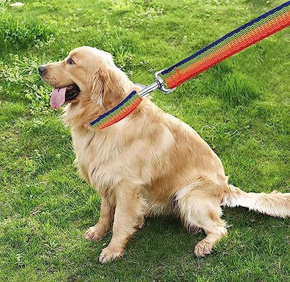 TAIAN 4FT/5FT/6FT Strong Dog Leash, Nylon Dog Leashes for Small Medium Large Dogs (1 in x 6 ft, Rainbow) - Image 7