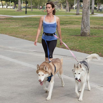 Hands-Free Dog Walking Belt for Canicross, Skijoring, Hiking, & Jogging – 3M Scotchlite Reflective Bands, Neoprene-Padded, Adjustable Waist - (XXLarge)