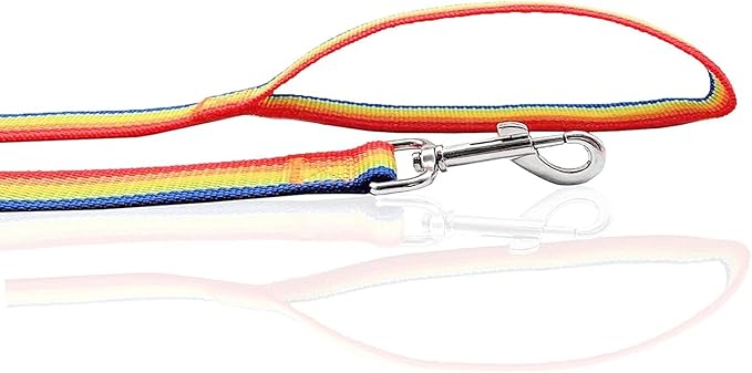 Nylon Dog Leash 8 Feet Long, Walking Training Dog Leashes for Medium Large Dogs(1" X 8 ft, Rainbow)