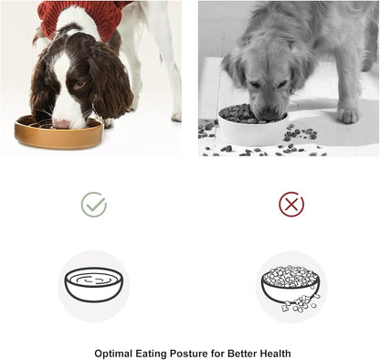 Ceramic Maze Dog Slow Feeder with Non-Slip Silicone Rim – Heavy-Duty Stoneware Bowl with Puzzle Pattern for Bloating & Obesity Prevention (Orange-M)