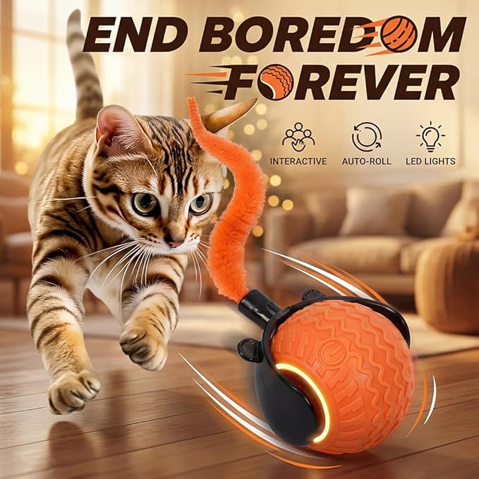 Interactive Toys for Cats, 2026 New Interactive Cat Toy Ball, Automatic Moving Cat Toy for Indoor Use, Rechargeable Feather Tail Cat Toy with Stimulation for Small Medium Large Cats (2 * Orange)