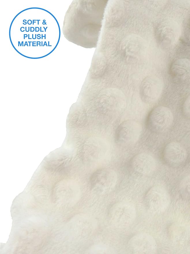 Bow Wow Pet Squeaky Polar Bear Dog Toy - Tug, Fetch & Teasing Toy - 24 Inches