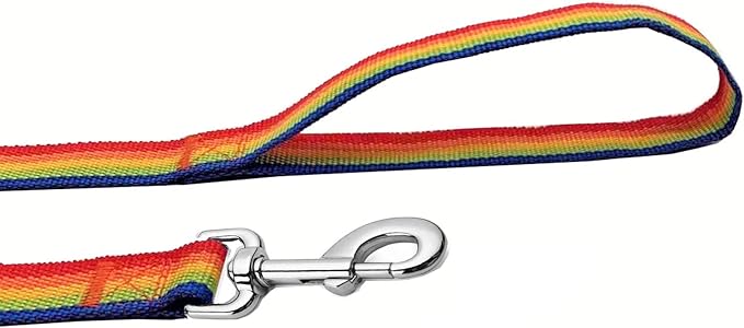 Strong Nylon Dog Leash, 4FT/ 5 FT/ 6FT Dog Leashes for Medium Large Dogs (5FT, Rainbow)