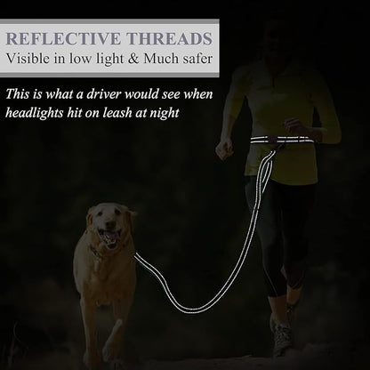 VIVAGLORY Hands Free Dog Leash Bungeeone Running Dog Leash with Waist Belt for Running Walking & Jogging, Bungee & Around Waist for Pet, S, Grey/Turquoise