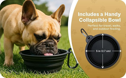 2 Ceramic Slow Feeder Dog Bowls for Small & Medium Dogs – Heavy Puzzle Maze Ceramic Dog Bowl for Fast Eaters to Stop Bloat, Vomiting & Choking – Non-Slip, Healthier and Easy-to-Clean