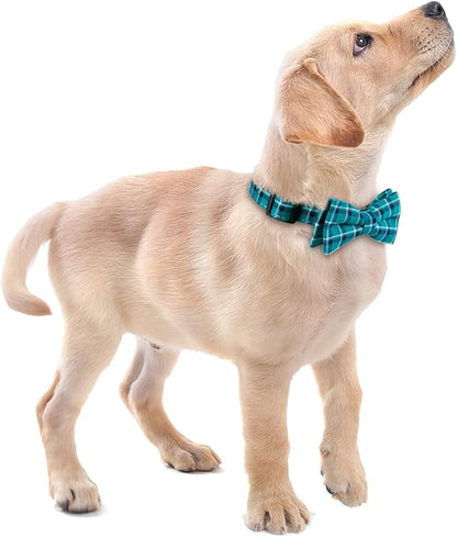 Faleela Soft &Comfy Bowtie Dog Collar,Detachable and Adjustable Bow Tie Collar,for Small Medium Large Pet (Small (Pack of 1), Green)
