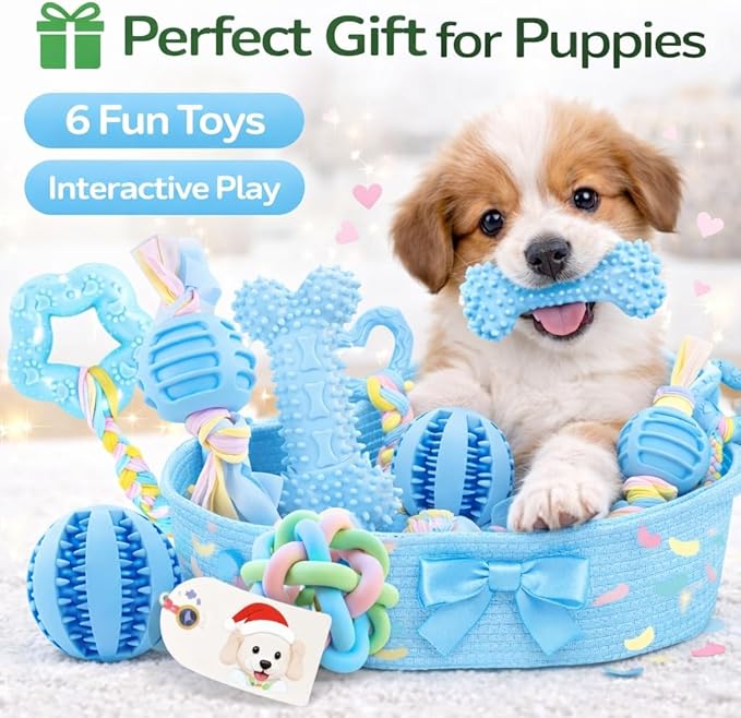 Chew Toys for Small Dogs – 6 Pack Teething Set, Soft Rubber, Eco-Friendly, Teeth Cleaning, Interactive Blue Dog Toys