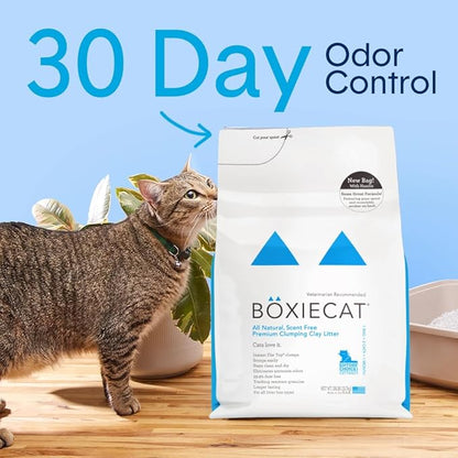 Boxie Unscented 30 Day Odor Control Clumping Clay Cat & Kitty Litter, 99.9% Dust-Free, Hard Flat Top Clumps, No Fragrances No Fillers, Long-Lasting, Easy to Scoop,16 lb (Pack of 2)