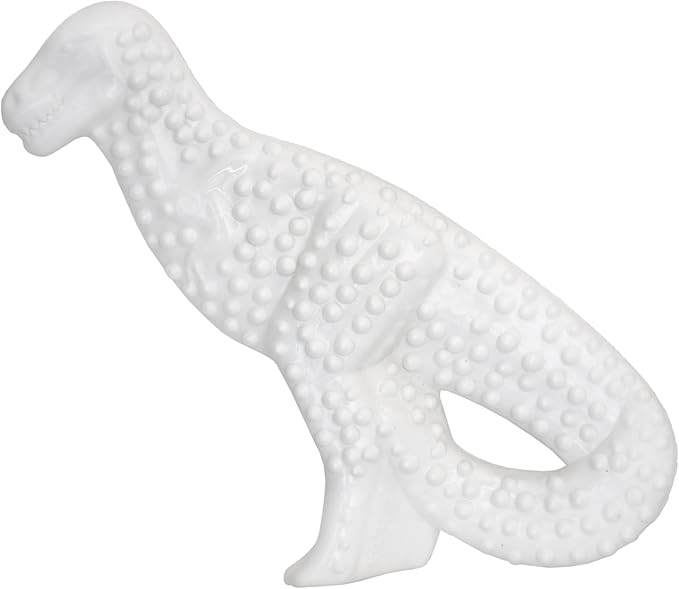 1 Pack Nylabone Durable Dental Dinosaur Chew Toy (Dinosaur Shape Varies), Large