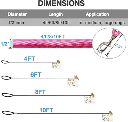 MayPaw 4/6 /8/10 FT Dog Leash, Classic Solid Colors, Strong Nylon Rope Dog Leash Reinforced with Leather Tailor Connection Heavy Duty Silver Clasp (Pink, 10ft*1/2")