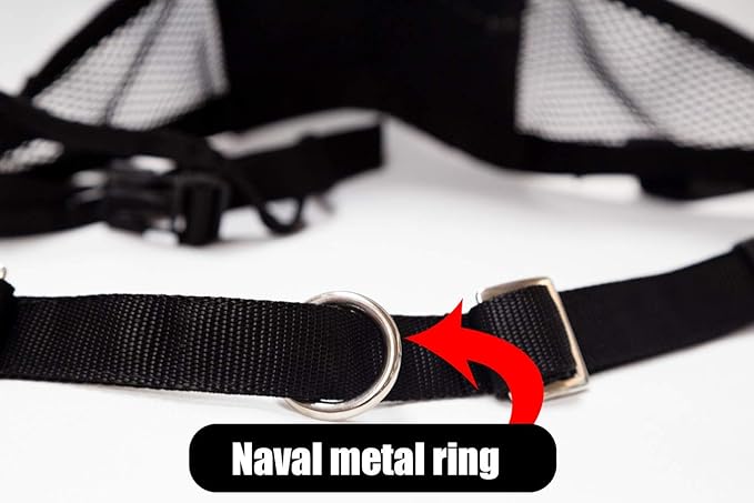 Neewa Canicross & Skijoring Belt to Run or Walk with Your Dog with Dog Running Leash Hands Free 2 Dogs or One, Dog Walking Belt for Multiple Dogs (One-Size-Fits-All, Black)