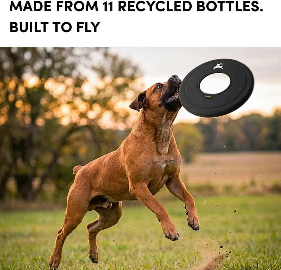 OllyDog Super Flyer Dog Flying Disc – Floating Fetch Toy for Water Play, Soft Eco-Friendly Recycled Fabric, Gentle on Teeth, 11" for Medium & Large Dogs (Raven, 11") - Image 4