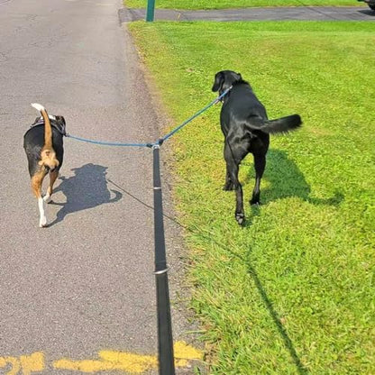 5 FT Double Dog Leash Coupler Extension Rope for Two Dogs Walking - Image 6