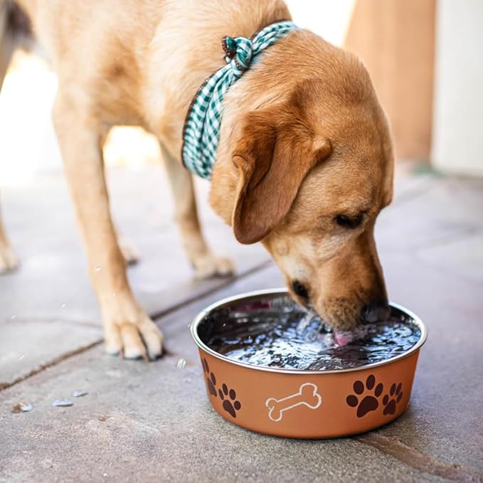 Loving Pets Bella Dog Bowls- Stainless Steel Dog & Cat Bowls - Spill Proof Dog Food Bowl, Cat Bowl, Puppy Essentials & Pet Supplies Great for Home & Travel (Medium 20-35 lbs, Copper)