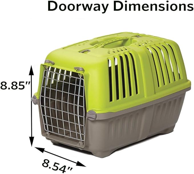 MidWest Homes for Pets Spree Travel Carrier – Hard-Sided Dog & Cat Carrier, Small Pet Travel Crate with Handle, Ventilated Design, Easy Assembly, 22-Inch, Green