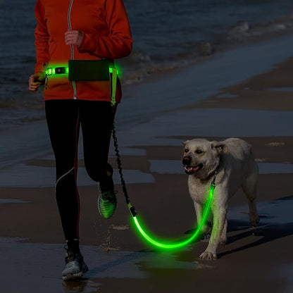 LED Hands Free Dog Leash, Waist Leash for Dog Walking, Retractable Bungee Light Up Dog Leash, LED Handless Dog Running Leash, Reflective Running Leash for Jogging Training Hiking (Green)