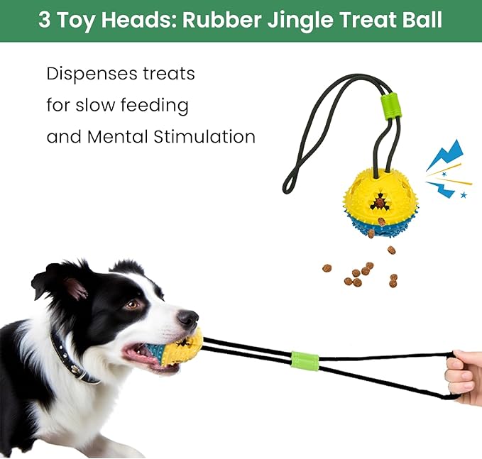 Bungee Dog Toy for Puppy Small Medium Dogs, Indoor Spring Pole Hang Over Door Frame, Outdoor Tether Rope for Yard Tree, Interactive Tug of War Pull Toy for Self Play Training Exercise
