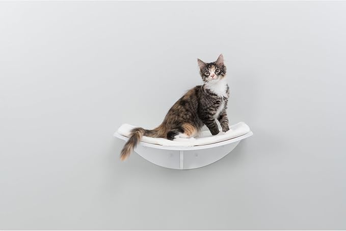 Trixie Lea Wall Mount Perch XXL, Cat Shelf with Soft Plush Cushion Bed, Ideal for Large Cats, 11 x 19-inches, White (44579)