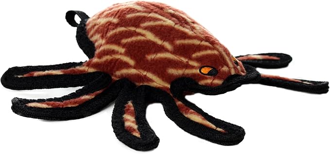 Tuffy Desert Spider